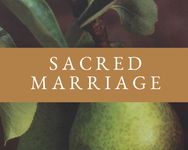 Sacred Marriage DVD Study